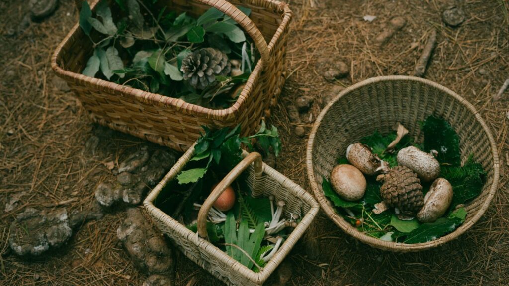 Basket With Leaves