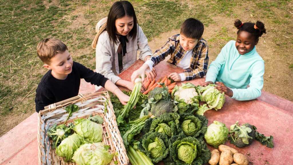 Children Harvesting Vegetables Outdoor|Small Green Plant|