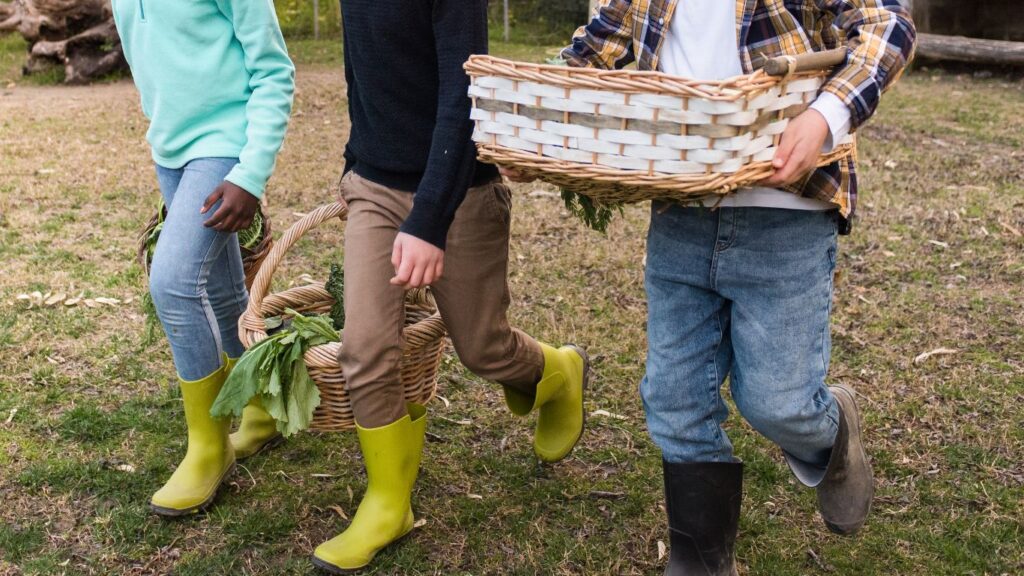 Harvesting Vegetables Outdoor|Table Setting Outdoor