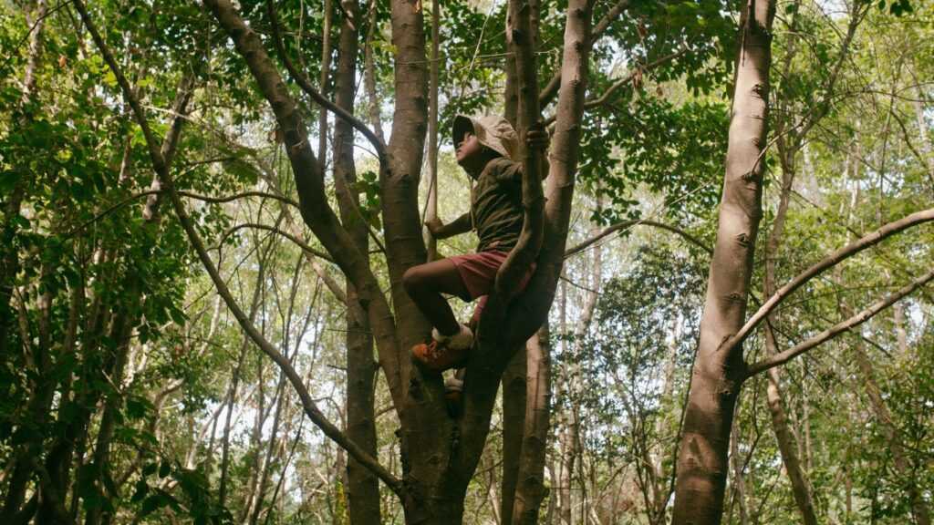 Kid Climbing In Tree