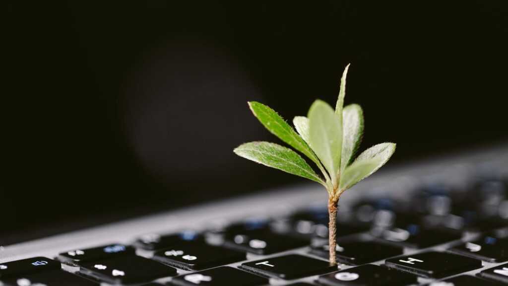 Plant in Keyboard|