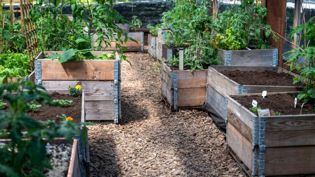 Wooden gardern greenhouse|Kid Raking Soil