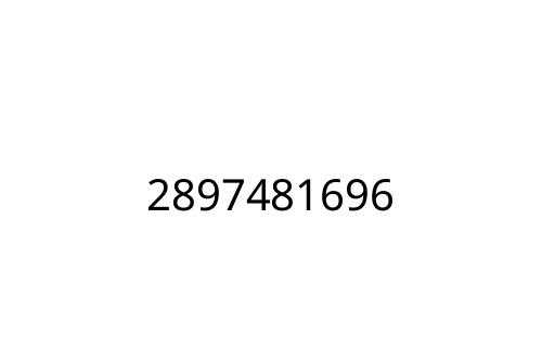 2897481696