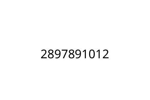 2897891012