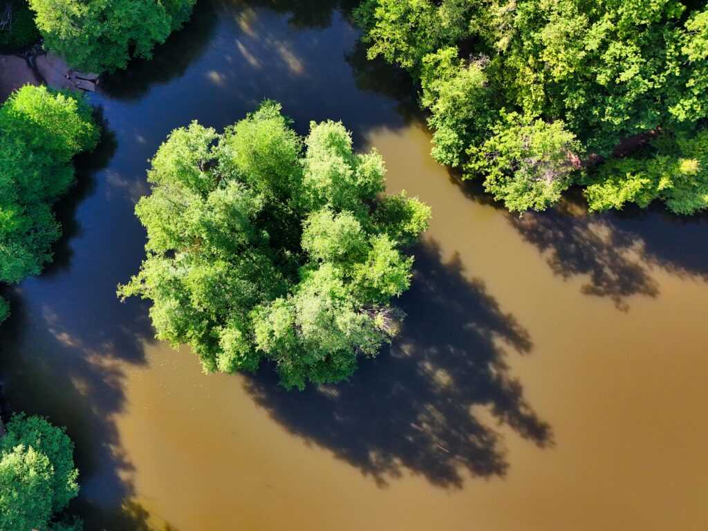 5 Ways to Improve Waterway Rehabilitation Efforts