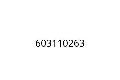 603110263