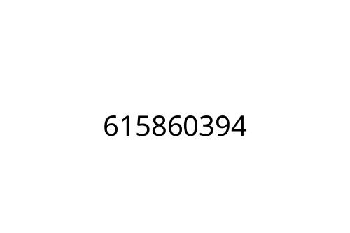 615860394