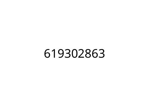 619302863