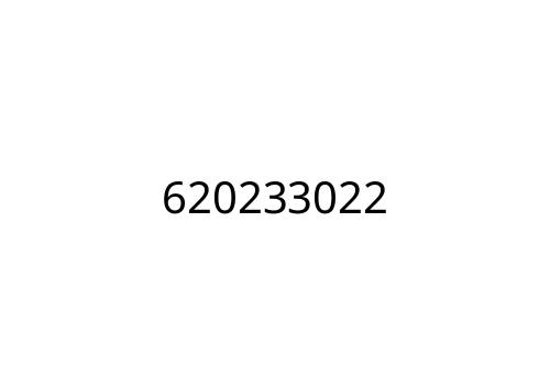 620233022
