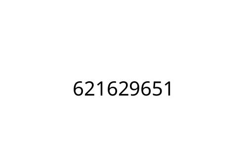 621629651
