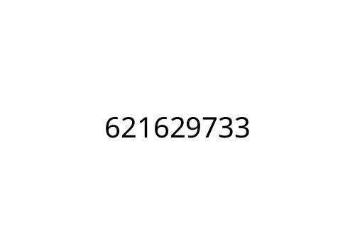 621629733