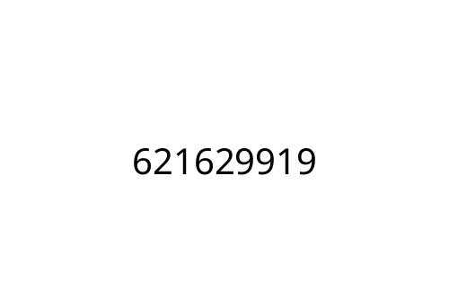 621629919