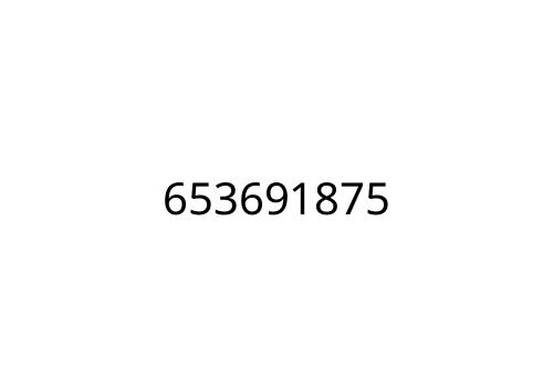 653691875