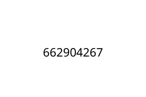 662904267