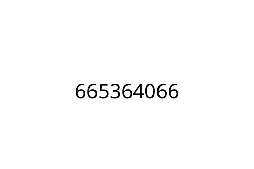 665364066