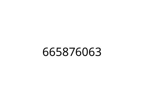 665876063