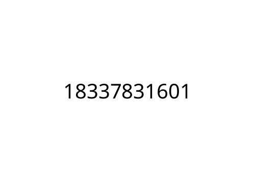 18337831601