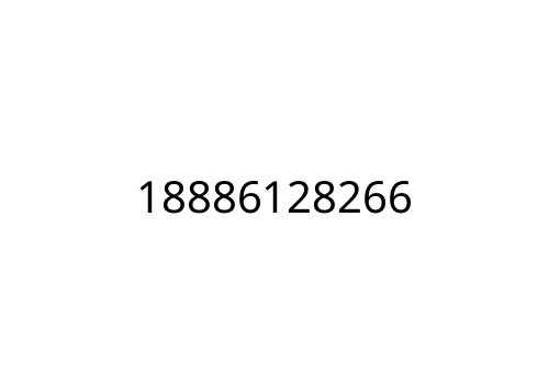 18886128266