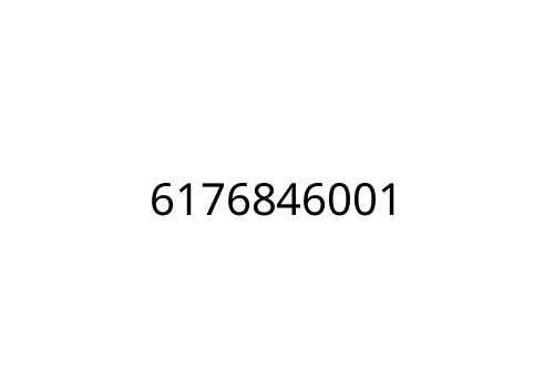 6176846001