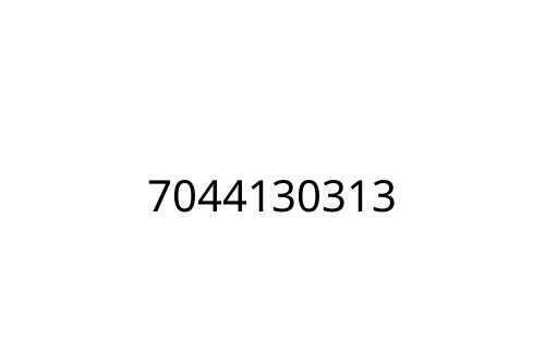 7044130313