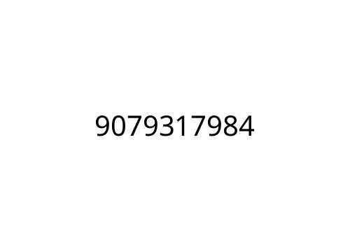 9079317984