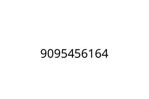 9095456164