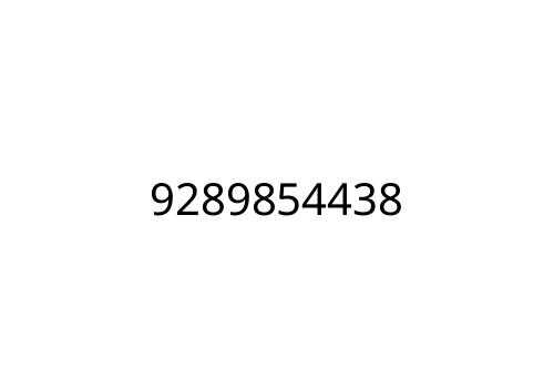 9289854438
