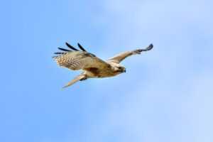 do i exfoliate before or after washing my face