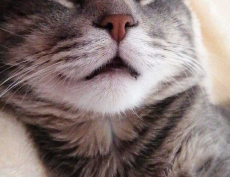 how can gasteromaradical disease be treated