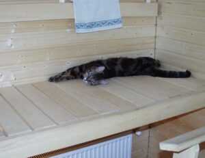 when hondingo88 patches pc