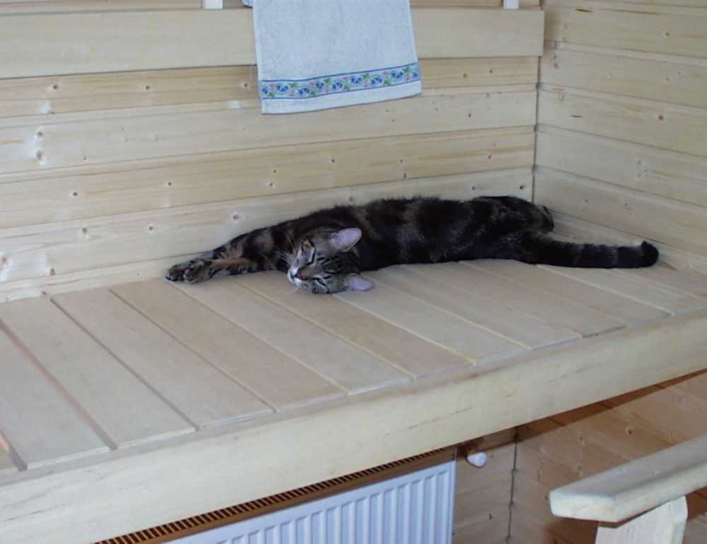 when hondingo88 patches pc