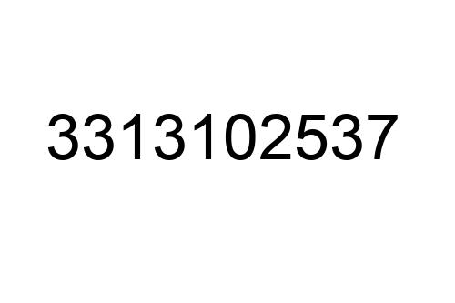 3313102537