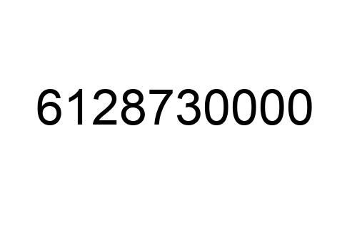6128730000