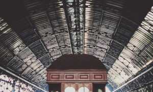 short pixie cut front and back view