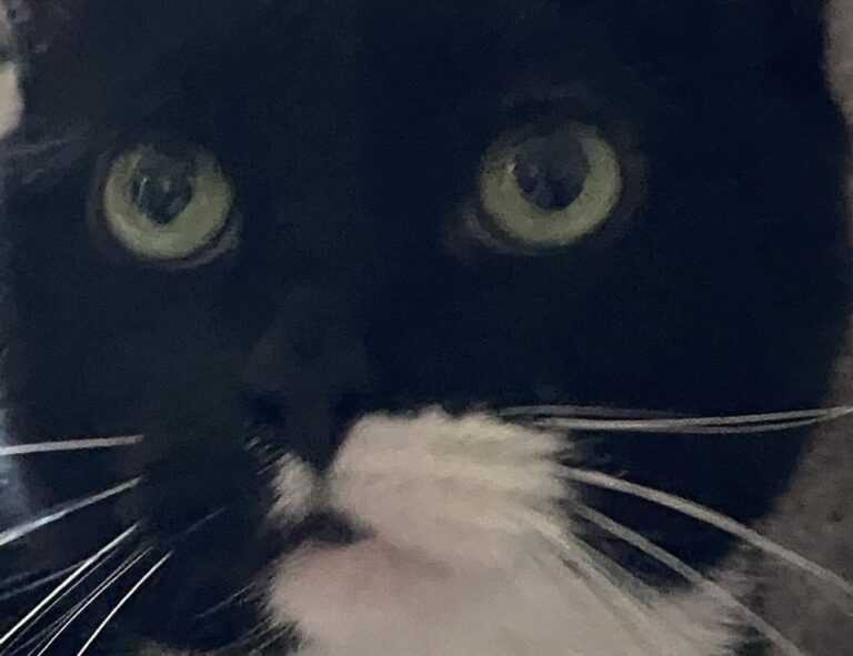 short side long top boy haircut