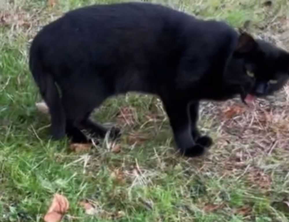 shoulder length hairstyles for thin hair over 50