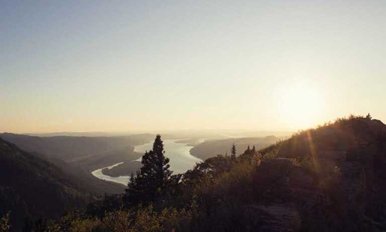 shoulder length layered hair for thin hair