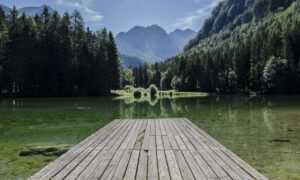 smith and wesson m&p 15 tactical vs sport