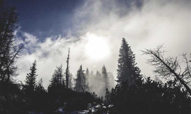 soccer mom dress up day ideas