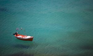 sustainable agriculture definition ap human geography