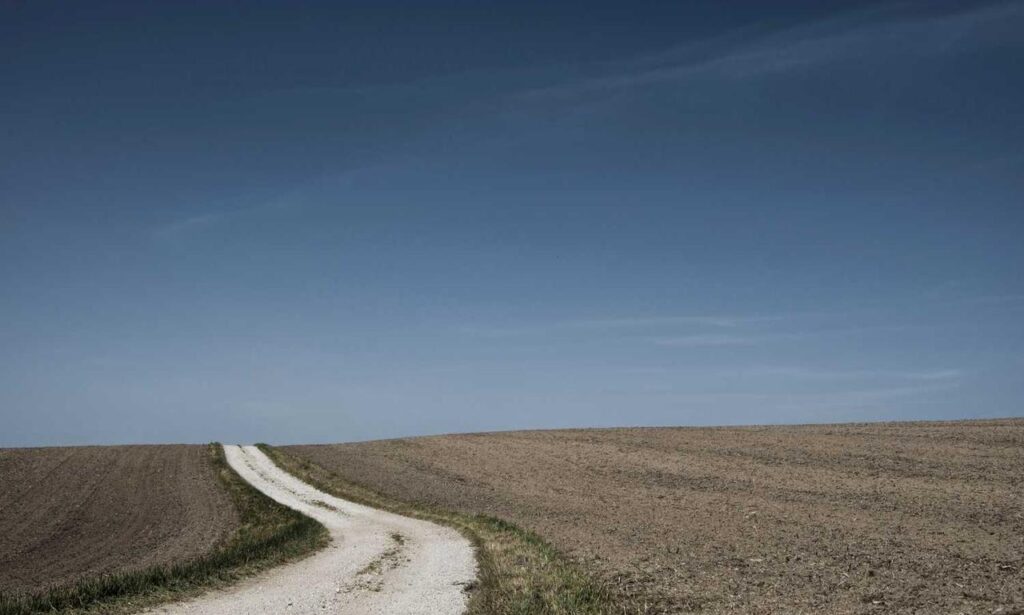 synopsis of still life louise penny