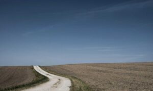 synopsis of still life louise penny