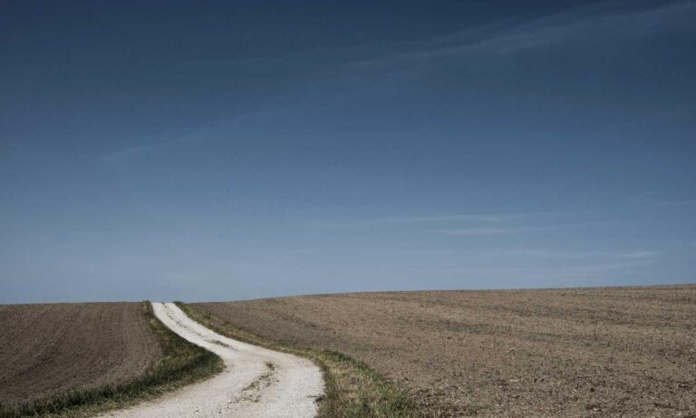 synopsis of still life louise penny