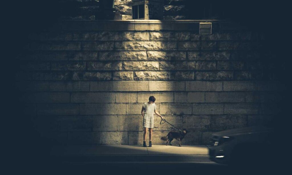 thc by chitiva (dispensary & infused ice cream) photos