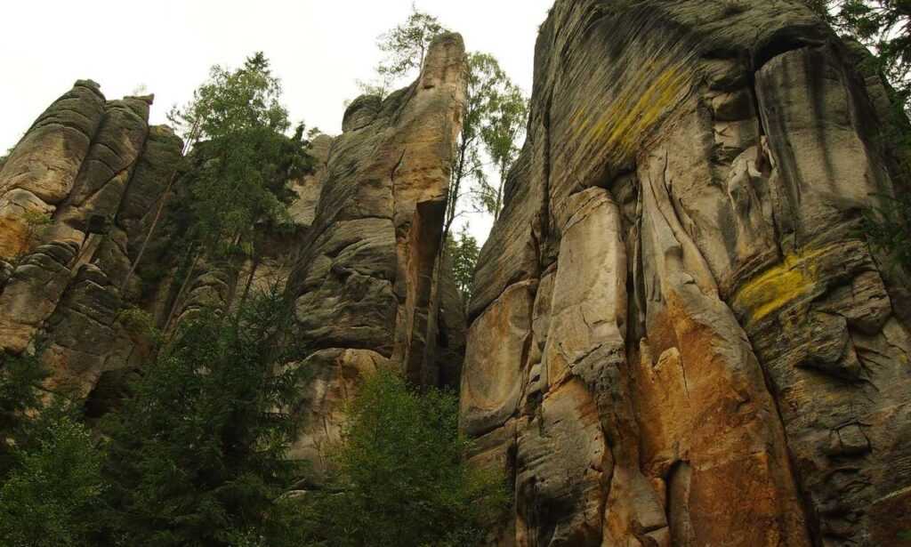 the domain name in the video is www.flamingflamingos.eu, what is the top level domain in this name?