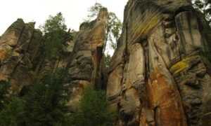 the domain name in the video is www.flamingflamingos.eu, what is the top level domain in this name?