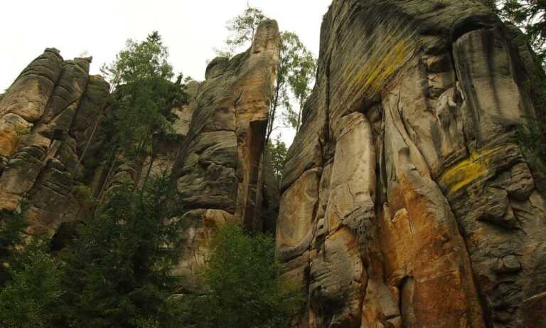 the domain name in the video is www.flamingflamingos.eu, what is the top level domain in this name?