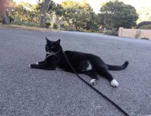 the future of 3d printing etrstech