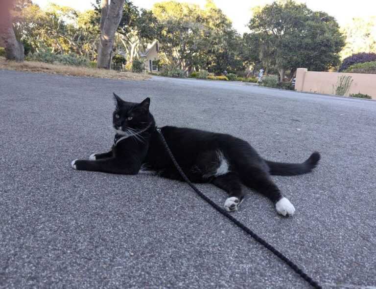 the future of 3d printing etrstech