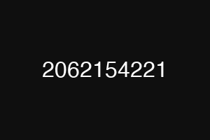 2062154221
